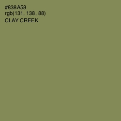 #838A58 - Clay Creek Color Image